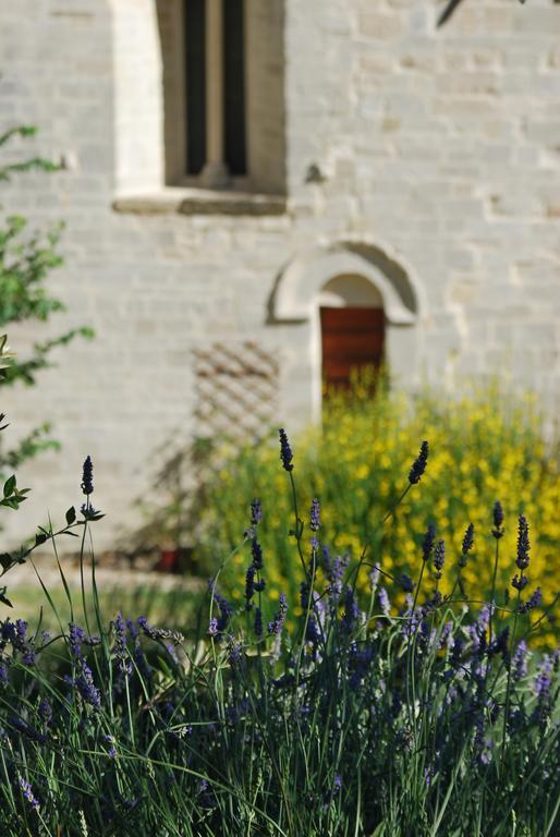 B&B San Paterniano Cingoli Exteriör bild
